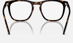 Ray-Ban 0RX2210V 2012 - vista posterior