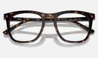 Ray-Ban 0RX2210V 2012 - detalle