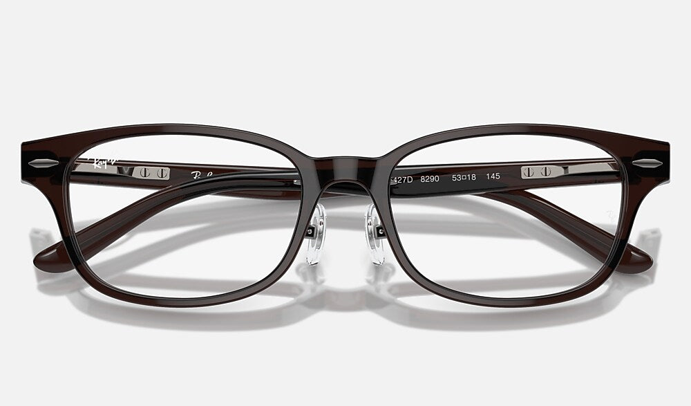 Ray-Ban 0RX5427D 8290 - detalle