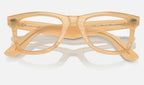 Ray-Ban 0RX4340V 8383 - detalle