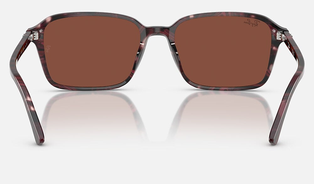 Ray-Ban RB2231 1416C5 - vista posterior