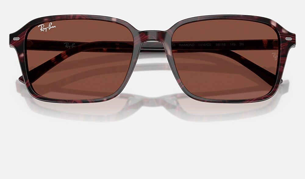 Ray-Ban RB2231 1416C5 - detalle