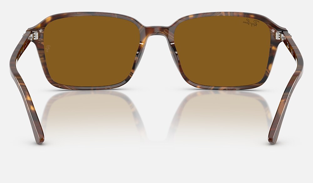 Ray-Ban RB2231 141833 - vista posterior