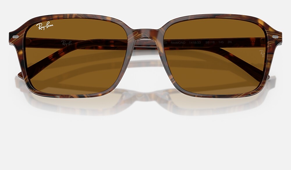 Ray-Ban RB2231 141833 - detalle