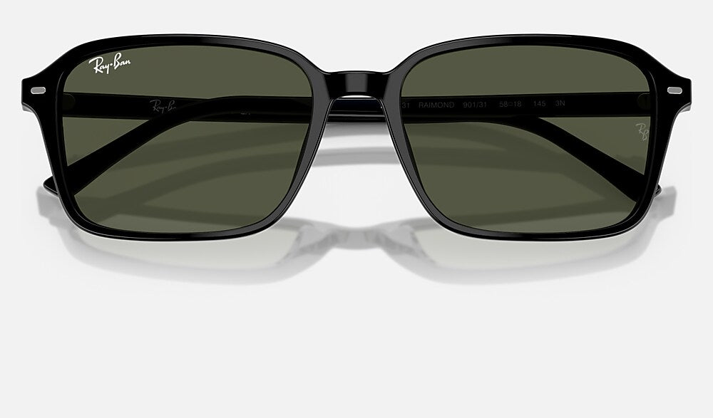 Ray-Ban RB2231 901/31 - detalle