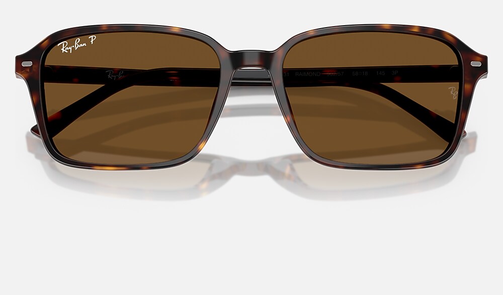 Ray-Ban RB2231 902/57 - detalle