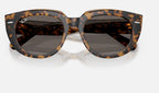 Ray-Ban RB2286 1292B1 - detalle