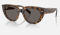 Ray-Ban RB2286 1292B1 - vista tres cuartos
