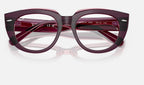 Ray-Ban 0RX5586 8364 - detalle