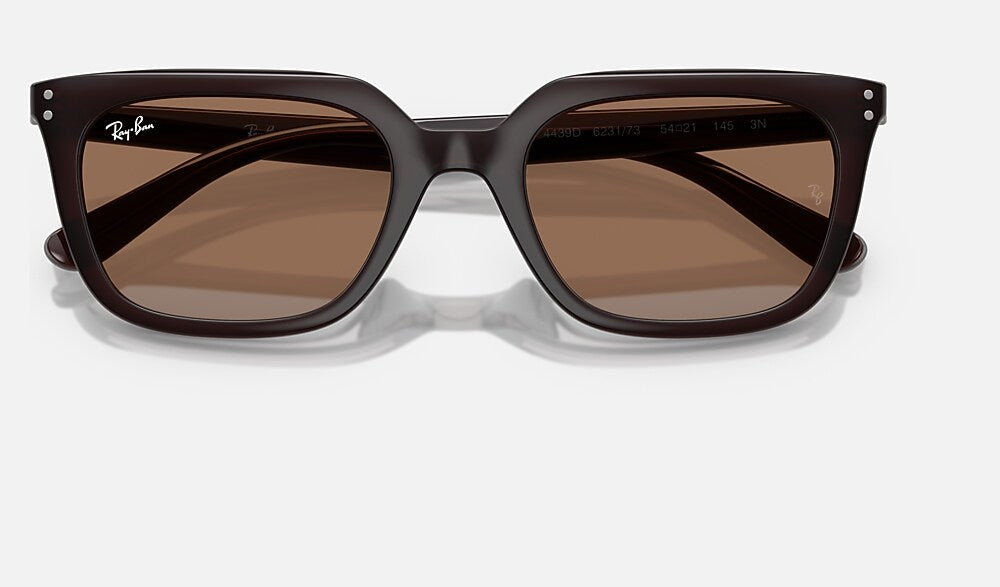Ray-Ban RB4439D 623173 - detalle