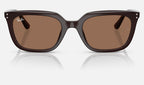 Ray-Ban RB4439D 623173 - vista frontal