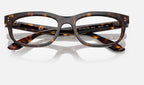 Ray-Ban 0RX5489 2012 - detalle