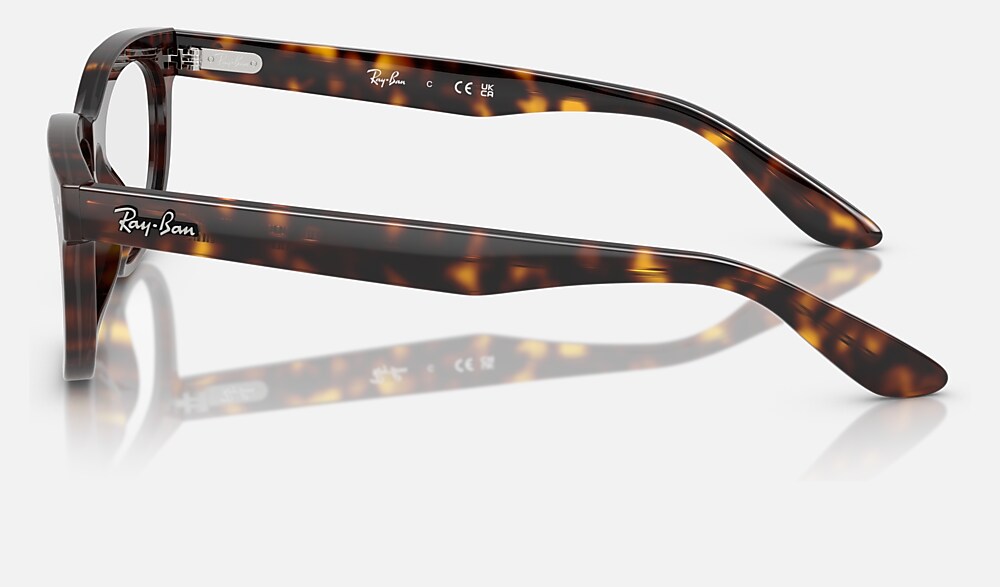 Ray-Ban 0RX5489 2012 - vista lateral