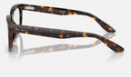 Ray-Ban 0RX5489 2012 - vista lateral