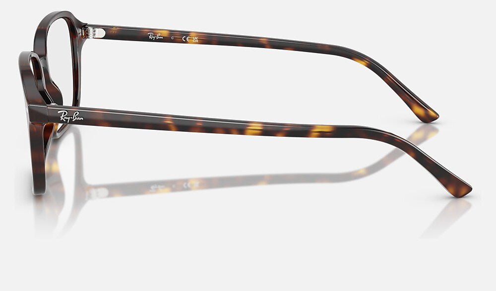 Ray-Ban 0RX5431 2012 - vista lateral