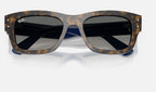 Ray-Ban RB7683S 140171 - detalle