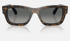 Ray-Ban RB7683S 140171 - vista frontal