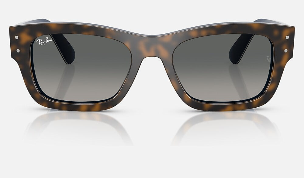 Ray-Ban RB7683S 140171 - vista frontal