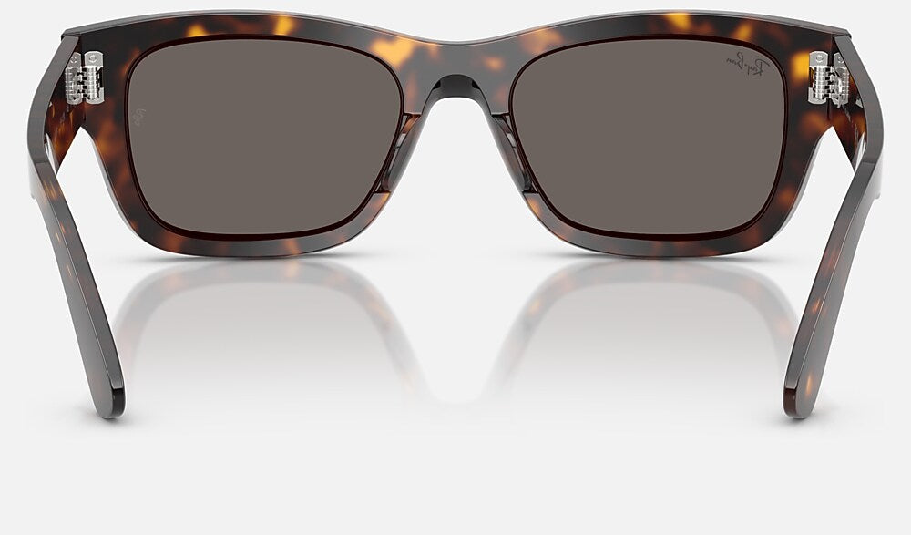 Ray-Ban RB7683S 902/B1 - vista posterior