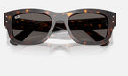 Ray-Ban RB7683S 902/B1 - detalle