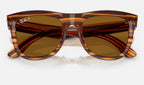 Ray-Ban RBR0502S 679183 - detalle