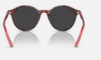 Ray-Ban RB2230 141948 - vista posterior