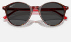 Ray-Ban RB2230 141948 - detalle