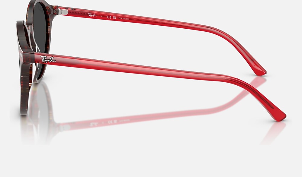 Ray-Ban RB2230 141948 - vista lateral