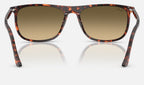 Ray-Ban RB2216 14290A - vista posterior