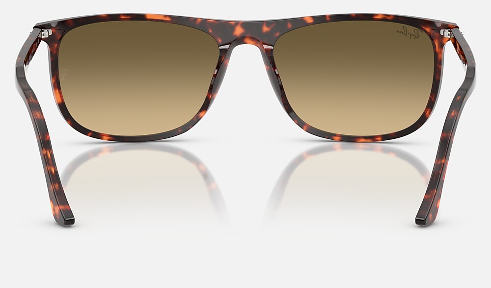 Ray-Ban RB2216 14290A - vista posterior