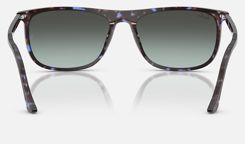Ray-Ban RB2216 1430GK - vista posterior