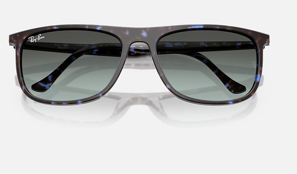 Ray-Ban RB2216 1430GK - detalle
