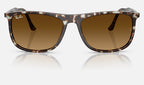 Ray-Ban RB2216 143185 - vista frontal