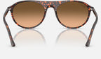 Ray-Ban RB2215 14293B - vista posterior