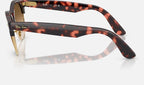 Ray-Ban RB2341 143251 - vista lateral