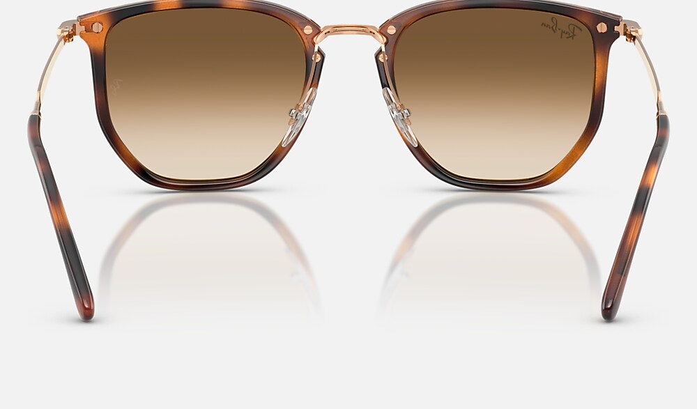 Ray-Ban RB4451 680451 - vista posterior