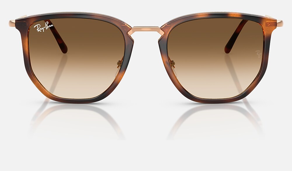 Ray-Ban RB4451 680451 - vista frontal