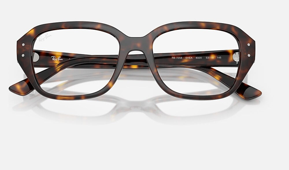 Ray-Ban 0RX7258 8320 - detalle
