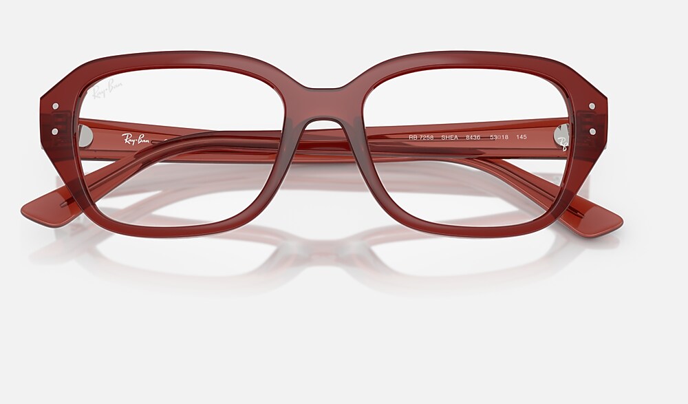 Ray-Ban 0RX7258 8436 - detalle