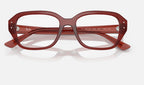 Ray-Ban 0RX7258 8436 - detalle