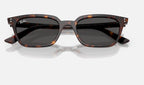 Ray-Ban RB4456 135987 - detalle