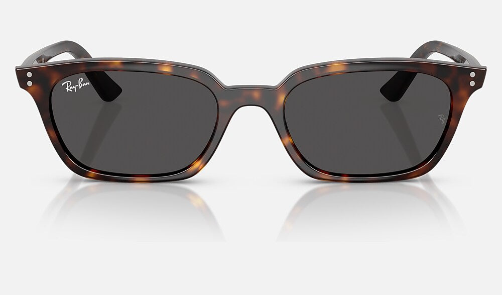 Ray-Ban RB4456 135987 - vista frontal