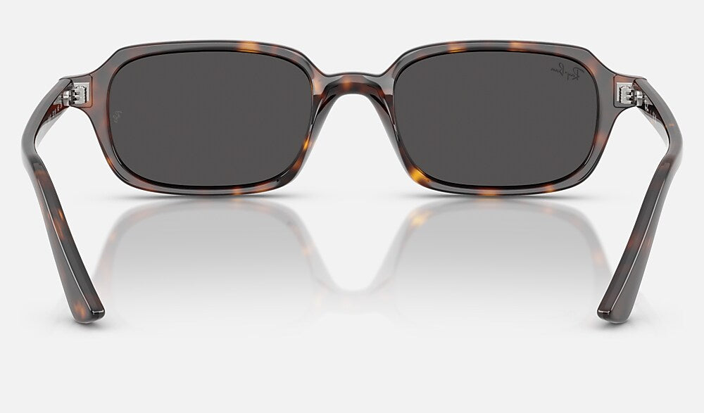Ray-Ban RB4455 135987 - vista posterior