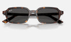 Ray-Ban RB4455 135987 - detalle