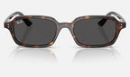 Ray-Ban RB4455 135987 - vista frontal