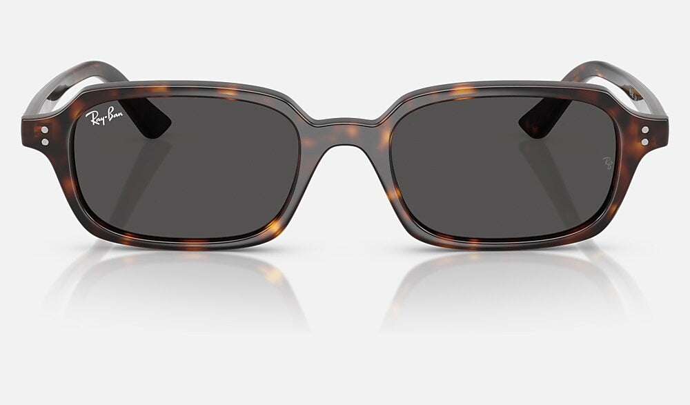 Ray-Ban RB4455 135987 - vista frontal