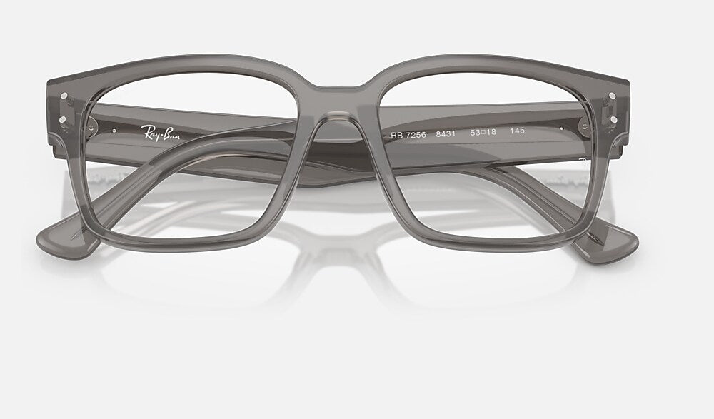 Ray-Ban 0RX7256 8431 - detalle