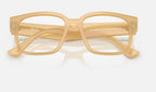 Ray-Ban 0RX7256 8430 - detalle