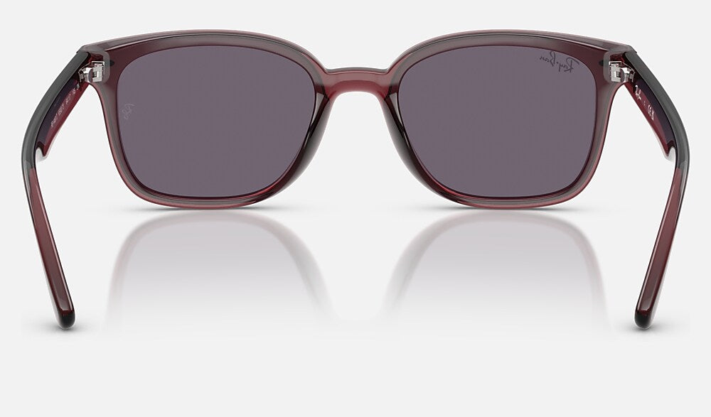 Ray-Ban RB4461D 659373 - vista posterior