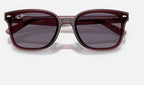 Ray-Ban RB4461D 659373 - detalle